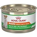 Royal Canin Canine Health Nutrition Adult Beauty Loaf in Sauce Canned Dog Food, 5.2 oz Can (Case of 24)