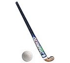Rioff® Hockey Sticks for Men Women Practice and Beginner Level with Ball (L-36 inch)
