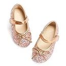 Otter MOMO Toddler/Little Girls Mary Jane Ballerina Flats Size 11 Shoes Slip-on School Party Dress Shoes