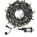 Outdoor Fairy Lights Mains Powered, LED Fairy Lights Outdoor, Shineled 30M 300LEDs 8 Modes Garden Decorative Lights for Christmas Tree, Patio, Garden, Home, Wedding, Party Outdoor, Indoor (Warm White)