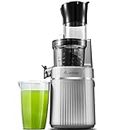 Juicer Machines, Aobosi Slow Masticating Juicer with 8CM Large Feed Chute, Cold Press Juicers for Whole Fruit and Vegetable with Two-layer Filter, Safety Lock, Carbon Grey