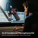 Microfono De Inalambrico Condensador XLR Estudio Grabacion Podcast Profesional