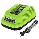 Ahomtikk 40V Charger Replacement Greenworks 40V Battery Charger Compatible with G-MAX 40V Battery 29462 and 29472 for Greenworks 40V Lithium-Ion Battery Charger