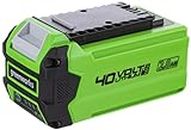 Greenworks Batería G40B2, Batería potente y recargable de Li-Ion 40 V 2 Ah, apta para todos los dispositivos de la serie de 40 V de Greenworks Tools