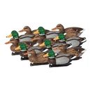 12 Pack Outdoors Masters Series Mallard Decoys Duck Decoys 14 Inch, 11 Pounds