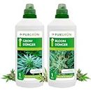 Purgrün Cannabis Dünger Set | Grow & Bloom Kombo | Vollspektrum Nährstoffe für Hanf Wachstum & Blüte | Für ertragreiche Cannabisernten | Mineralische Formel | 2 x 1 Liter
