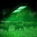 BSOD Hog Light, Solar Green Lights for Hunting Deer Hog Pig Activated Feeder Accessories Night Reaction Motion Lamp Eq300W Trapping Kit Wildlife Outdoor Cordless Lighting with Remote