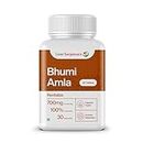 Liver Sanjeevani | Bhumi Amla Health Supplement - 700mg Herbs Extract per servings | Rich in Antioxidants | Boost immunity - Fights cold & cough | Protects liver from toxins | (30 tablets)