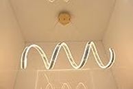 swanart LED Ceiling Light for Living Areas, Dining Room, Kitchen, Bathroom, Bar, Home Decor, Multipurpose Room Lighting