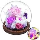 Mothers Day Flowers Gifts for Mom,Preserved Rose Carnation Flowers Gifts for Women, Real Flowers Bouquet in Glass Dome with Light, Birthday Gifts for Mom Wife Mothers Day Anniversary