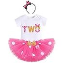 IBTOM CASTLE Polka Dots 1st 2nd 3rd Birthday Party Outfit for Baby Girl Princess Top+Tutu Skirt Dress up Photo Shoot Set, Hot Pink - Two, 2 Years