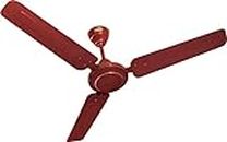 POLAR 1200 Mm Payton Brown 1 Star Ceiling Fan | Rust-resistant Long-lasting Energy-saving High Speed 400 Rpm Bee Approved 1 Star Rated and 50 watt 25 Months Warranty