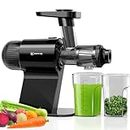 Keenray Cold Press Juicer, Masticating Juicer Machines, Celery Juicer with Quiet Motor Reverse Function, High Juice Yield Slow Juice Extractor for Vegetable and Fruit, EL20, Black