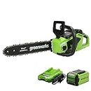 Greenworks 40V 14" Chainsaw, 2.5Ah USB Battery and Charger Included