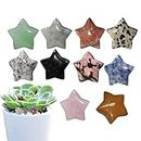 Crystal Bulk,Crystal Stone Worry Stones Star Shape - Decorative Star Rock Stones Crystal for Garden, Lawn, Flowerpot, Fishbowl,