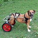 Best Friend Mobility Rear Support Wheelchair 2.0 Large Lightweight Dog Wheelchair for Back Legs
