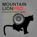 REAL Mountain Lion Calls & Sounds App for Predator Hunting (ad free) - BLUETOOTH COMPATIBLE