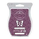 Scentsy Black Rasberry Vanilla Wax – Bar – Description du Produit ci-Dessous