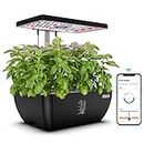 iDOO WiFi 12 Pods Hydroponic Growing System with 6.5L Water Tank, Smart Hydro Indoor Herb Garden Up to 14.5", Plants Germination Kit with Pump System, Fan, Grow Light for Home Kitchen Gardening, Black