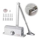 ROUDJER Automatic Door Closer, Surface Mounted, Cast Aluminum Adjustable Door Closers for Residential and Light Commercial Applications Doorways (Silver)