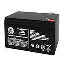 AJC Battery Compatible with Razor Pocket Mod Bellezza 12V 10Ah Electric Scooter Battery