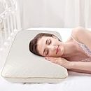 Fityou memory foam pillow king size,orthopedic pillow,Ergonomic Pillow,Deep Sleep Neck Pillow,Soft Anti Snore Pillows For Sleeping,Washable Pillow Case,70 x 40 x13 cm