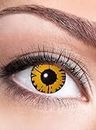 Twilight Kontaktlinse/Jahreslinse mit Dioptrien - farbige Motivlinse mit Sehstärke (1 Stück) - Dioptrien: -3 - ideal für Halloween, Karneval, Motto-Party