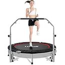 FirstE 48 inches Foldable Fitness Trampolines, Rebound Exercise Trampoline with 4 Level Adjustable Heights Foam Handrail, Jump Trampoline for Kids and Adults Indoor&Outdoor, Max Load 440lbs Silver