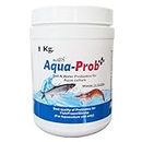 REFIT ANIMAL CARE Biofloc Probiotics for Fish Farming, Prawn, Shrimp, & Aquatic Animals, Water & Soil Probiotic supplement for Pond, Tank & Aquarium, 1000grams/ 1Kg (150 lac Million CFU-gm) Aqua-Prob+