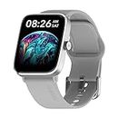 Noise ColorFit Pro 4 Alpha 1.78" AMOLED Display, Bluetooth Calling Smart Watch, Functional Crown, Metallic Build, Intelligent Gesture Control, Instacharge (Silver Grey)