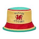 ASVP Shop Wales Football Bucket Hat Classic Retro Fan World Cup Football Rugby Welsh White