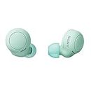 Sony WF-C500 kabellos, Bluetooth, In-Ear Earbuds (mit IPX4 Rating und bis zu 20h Akkulaufzeit) Grün, klein