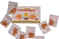SWAMI JI Golden Cordyceps Militaris By Golden Herb Agro Farm | For Endurance, Strength and Energy Boost | Small | (0.5gms x 20 sachets) (10 Gms)