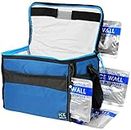 Arctic Zone Insulated Collapsible Travel Cooler Holds 12 Cans (4 Ice Packs Included), Packaging May Vary