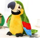 Electronic Pets Talking Parrot Kids Children Toys Funny Sound Record Plush Green