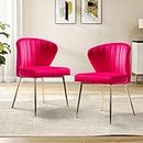 HULALA HOME Velvet Dining Chairs Set of 2, Chaise Cuisine with Gold Metal Legs, Upholstered Accent Chair Home Kitchen Chairs Side Chair for Bedroom, Dining Room, Living Room Armless Chair, Fuchsia