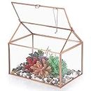 SUMTree Rose Gold Glass Plant Terrarium, Garden Moss Container with Swing Lid, Airplant Display Box for Succulent Plants, Glass Rectangle Indoor Air Plant Container, Rose Gold