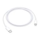 Apple USB Type-C to Lightning Cable (3.3') MM0A3AM/A