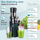 Fruit Juicer Slow Juicer Vegetable Processor Cold Press Two-speed No noise 200W