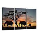 Visario Image on Canvas of the German brand 160 x 90 CM 3 Parts 1066 African Elephants Wall Prints Art
