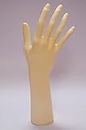 NC Plastic Hand Glove Display Mannequin, Jewellery Display Multi-Purpose Female Hand