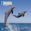 Dolphins 2018 Calendar