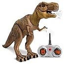 Discovery Toy Remote Control Dinosaur, T-Rex