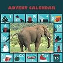 Advent Calendar 2023: Advent Calendars Pooping Animals size 8.5×8.5 inch - Funny Gags with Pooping Animal for Advent Calendar - It's a Perfect Christmas Gift for Boys, Girls, Man, Women, Kids....