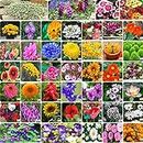FLARE SEEDS India's Most popular Flower Seeds Outdoor Combo of 45 Packet of Seeds Garden Flower Seeds Pack By FLARE SEEDS