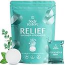 Body Restore Shower Steamers Aromatherapy 15 Pack - Valentines Day Gifts, Relaxation Birthday Gifts for Women and Men, Stress Relief and Luxury Self Care, Eucalyptus