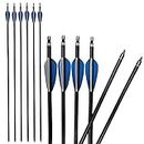 30 Inch Aluminum Arrows Practice Hunting Arrows Spine 300 Field Points Replaceable Tips Arrow Quier Tube for Recurve Compound Bows 12 Pieces (12 Pieces Arrows)