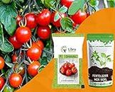 Vegetable Seeds | Tomato | Farming | Home | Garden | Hybrid | Kitchen | Planting | Terrace | Balcony | Eating | Solanum Lycopersicum | Tameta | Tamatar | Desi - 0.05 Gram : 163 Seed