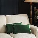 GIGIZAZA Terciopelo Almohada Cubre Caso Suave decoración Fundas de de cojín 30x50 cm para sofá Dormitorio CocheCama Casa Decor,Pack de 2