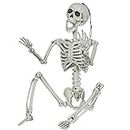XONOR 3ft Halloween Skeleton Realistic Human Plastic Full Body Skeleton with Movable Joints for Haunted House Props Decorations